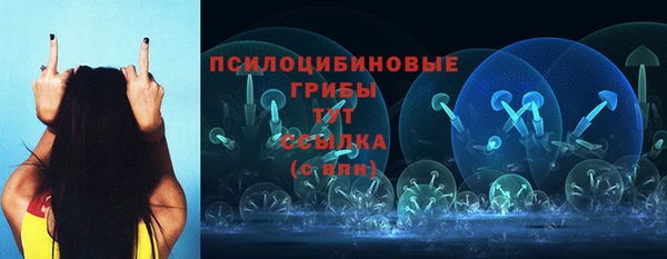 винт Магас