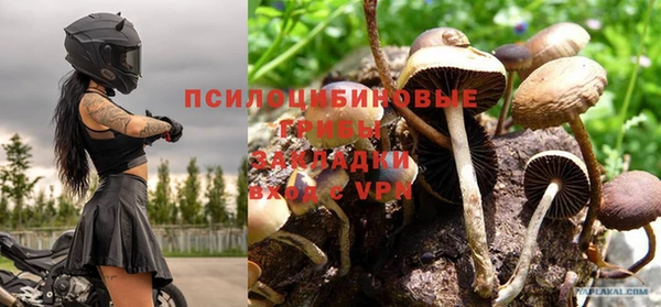 apvp Магадан