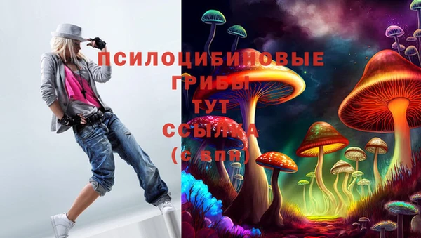 винт Магас