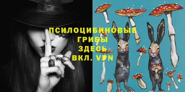 винт Магас