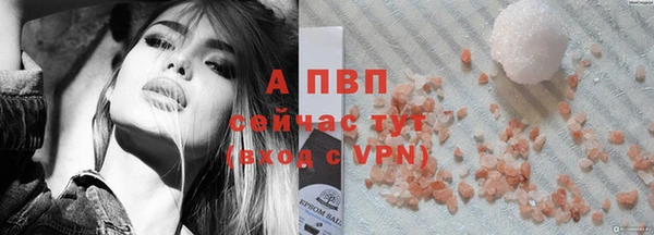 apvp Магадан