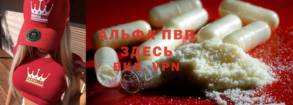 винт Магас