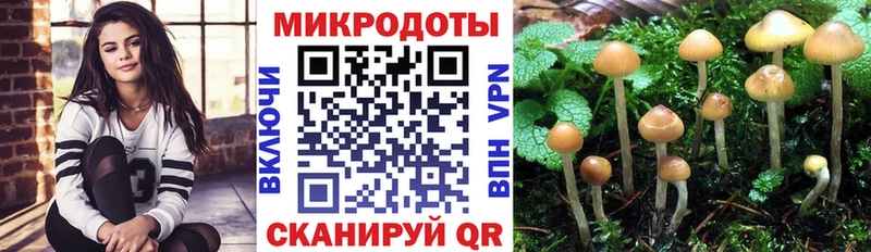 Псилоцибиновые грибы мицелий  цены наркотик  Назрань 