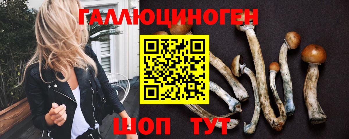 Назрань  Псилоцибиновые грибы Magic Shrooms  Вход с VPN 